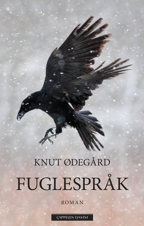 Cover of Bird Language