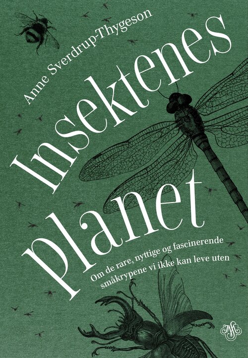 Cover of Terra Insecta