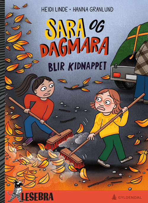 Cover of Sara and Dagmara get Kidnapped
