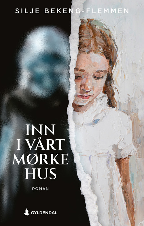 Cover of Into Our Dark House
