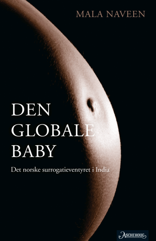 Cover of The global baby