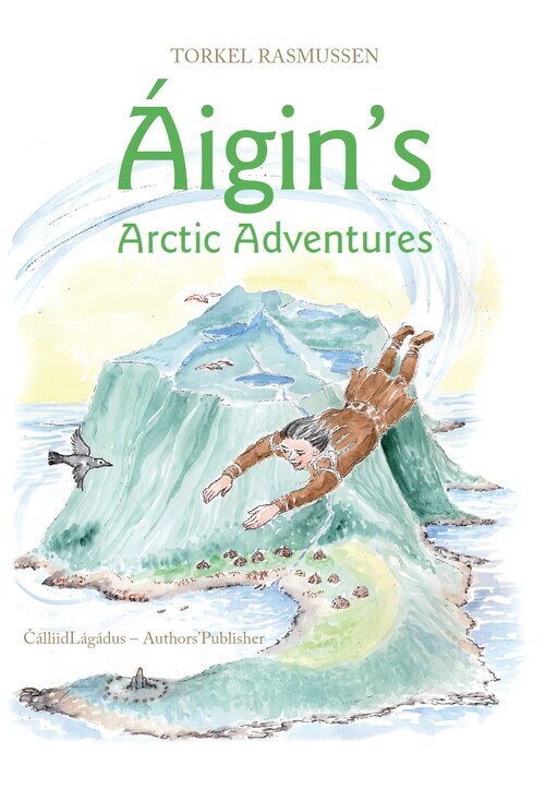 Cover of Áigin's Arctic Adventures