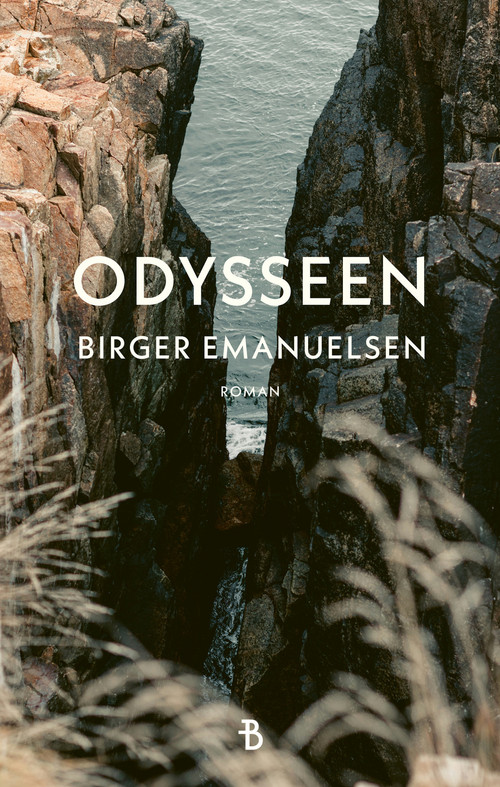 Cover of The Odyssey