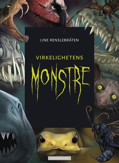 Cover of Real-Life Monsters