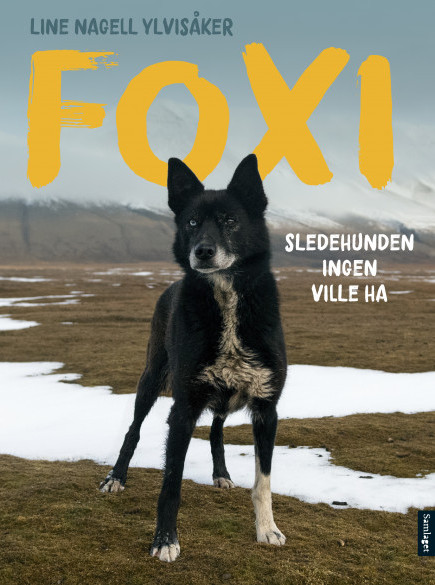 Cover of Foxi