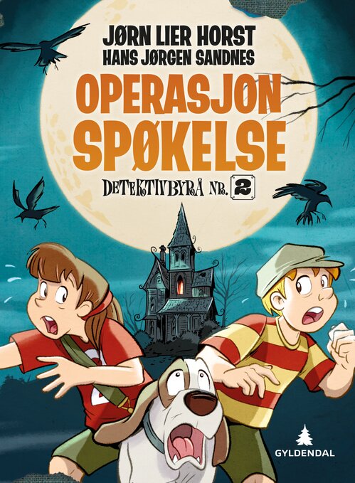 Cover of Operation Ghost