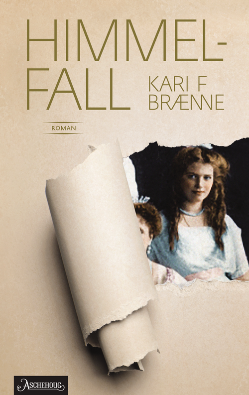 Cover of Firmament Falling