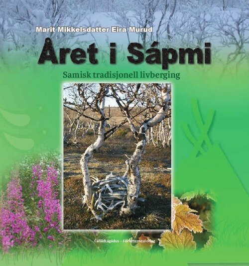 Cover of The Year in Sámiland