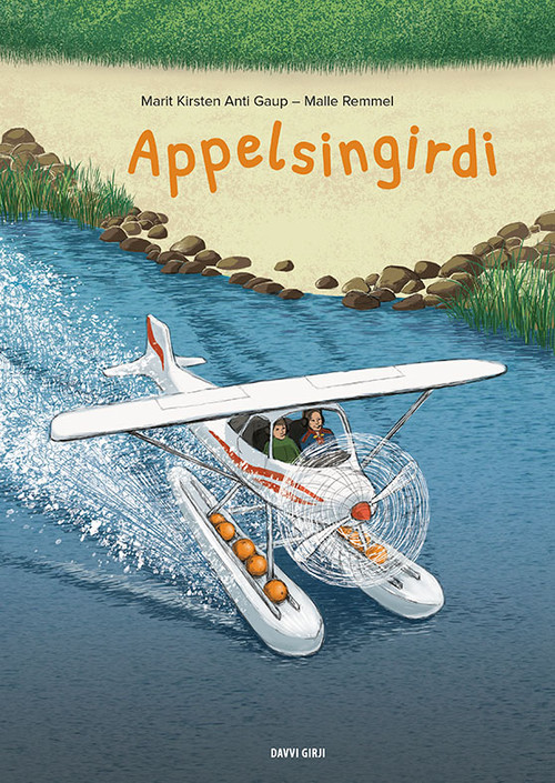 Cover of The Orange Plane