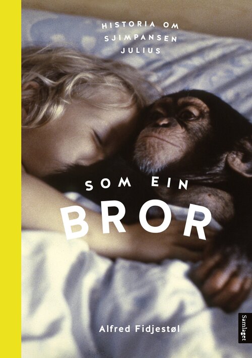 Cover of Like a Brother. The Story of Julius the Chimpanzee