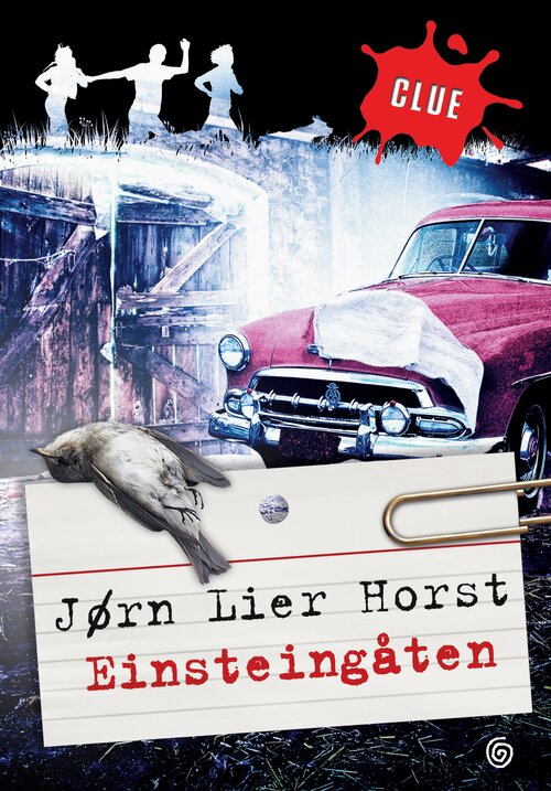 Cover of The Einstein Mystery