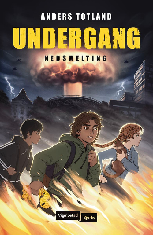 Cover of Meltdown - Book 1