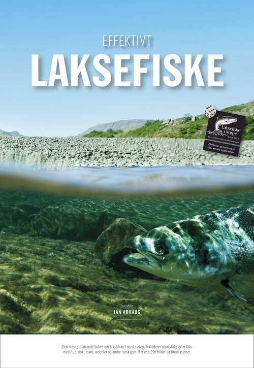 Cover of Salmon fishing in Norway