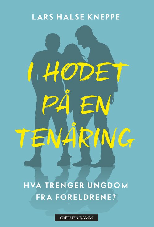 Cover of In the Head of A Teenager