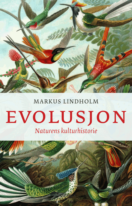 Cover of Evolution nature’s cultural history