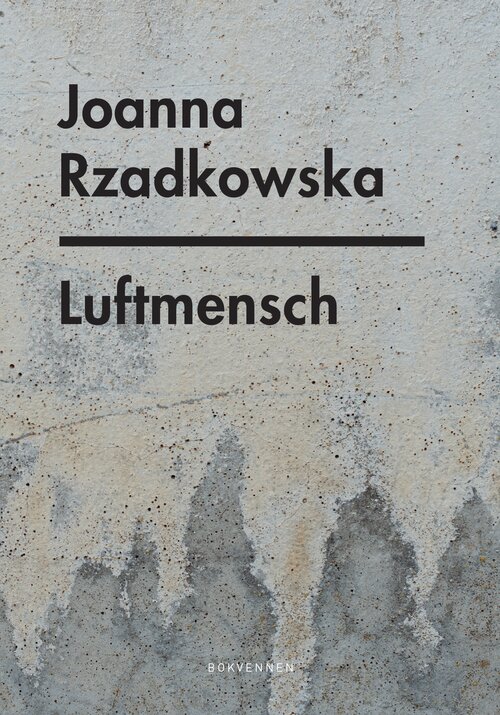 Cover of Luftmensch