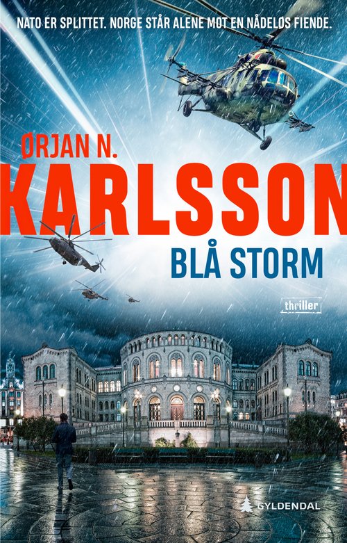 Cover of Blue Storm