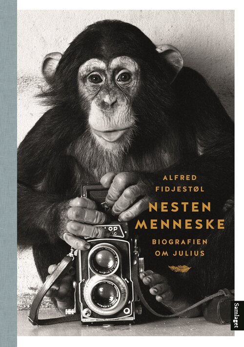 Cover of Almost Human – A Biography of Julius the Chimpanzee