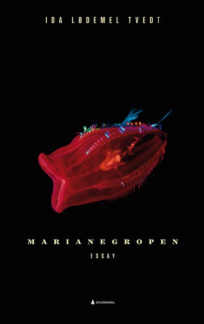 Cover of Drafts from the Mariana Trench