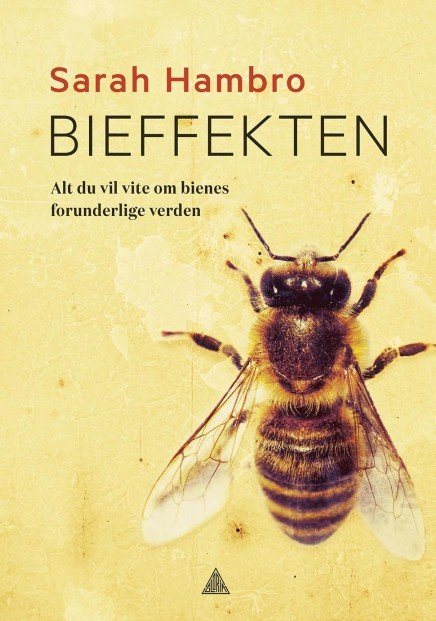 Cover of Our World According to Bees