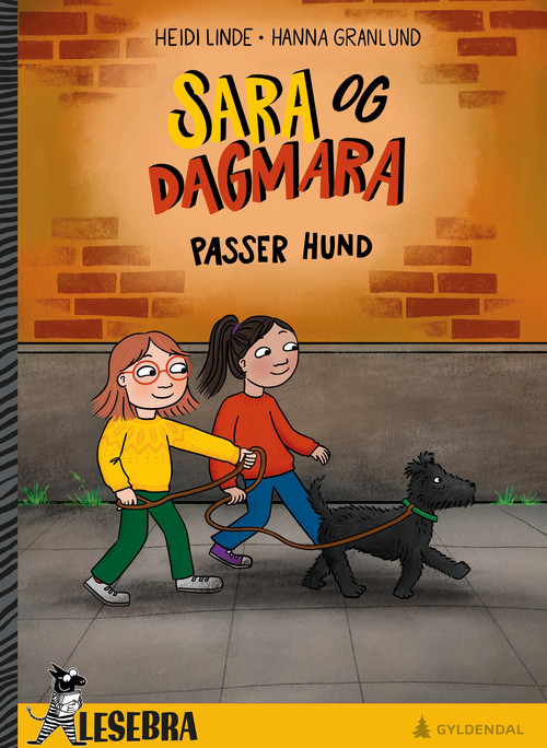 Cover of Sara and Dagmara Look After a Dog